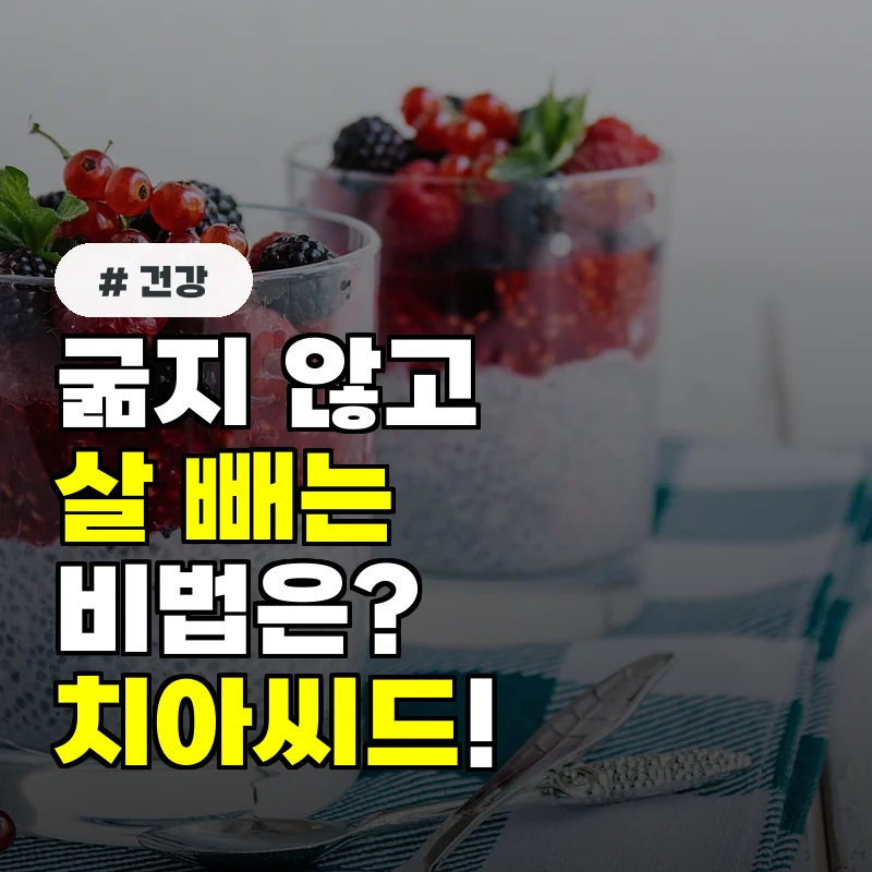 굶지 않고 살 빼고 싶다...치아씨드 매일 두 숟가락으로 식욕 조절 비법
