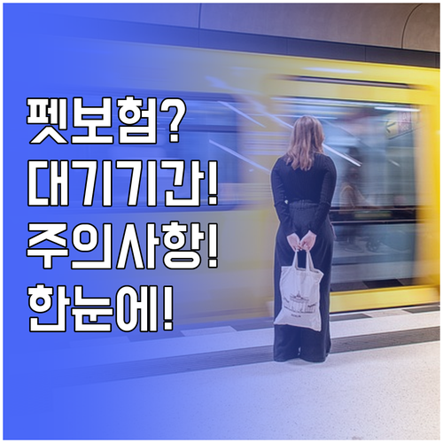 펫보험 대기기간, 종류별 기간과 주의..