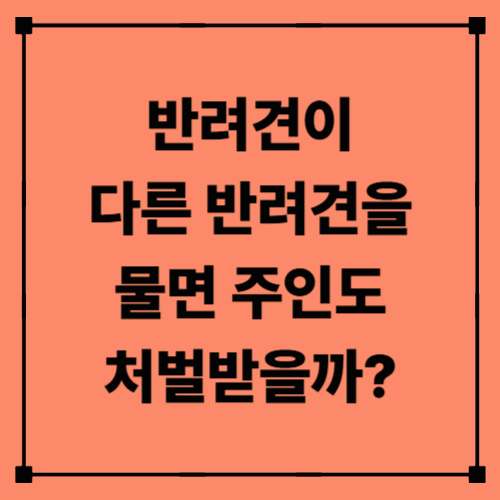 반려견이 다른 반려견을 물면 주인도 처벌받을까?｜반려동물 간 사고의 법적 책임 총정리