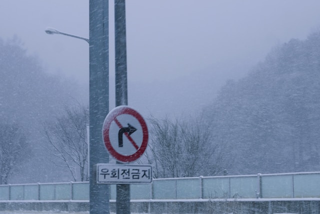 대설특보 차량 관리 이것만 알면 끝