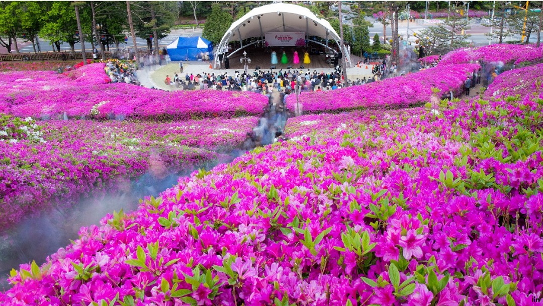 군포 철쭉축제 장소