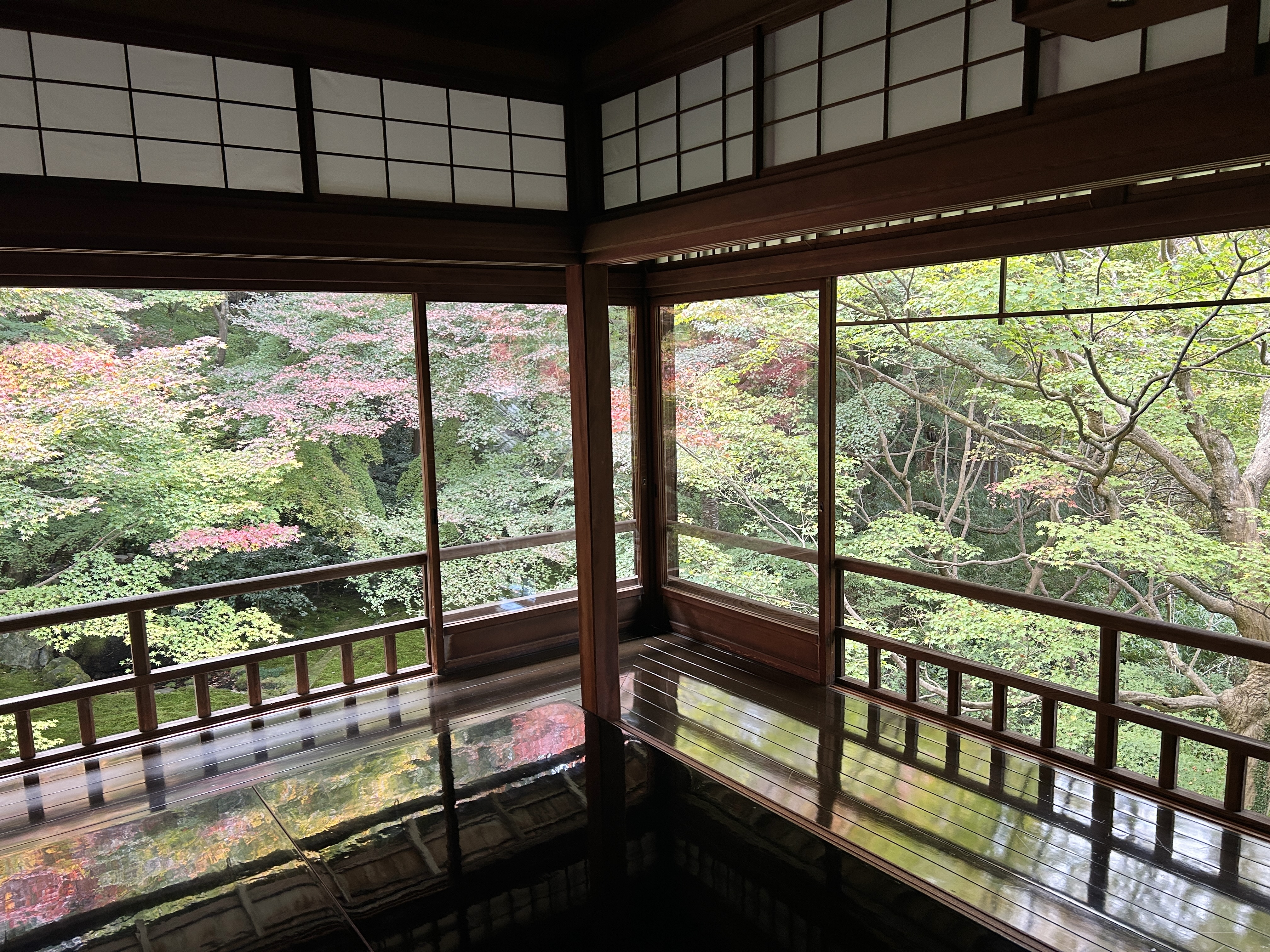 오사카 현지인도 간다! 교토 루리코인 가을단풍 명소 후기 관련사진