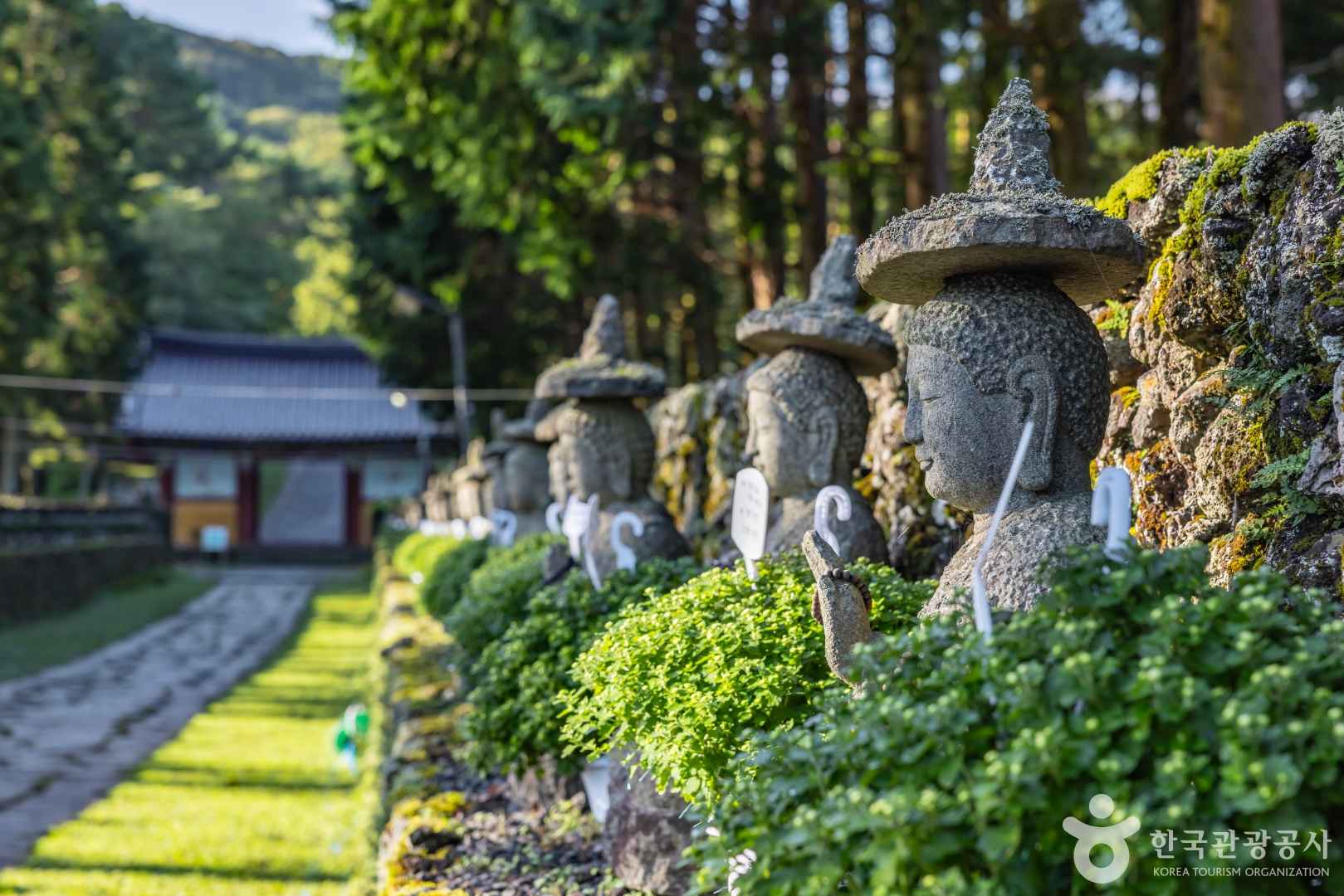 제주 관음사