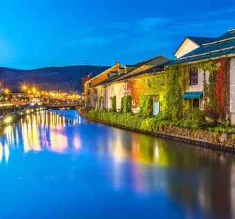 북해도 후라노 라벤더 축제 시즌 개화 시기 이벤트 일정 대표 명소 여행 완벽 가이드_2