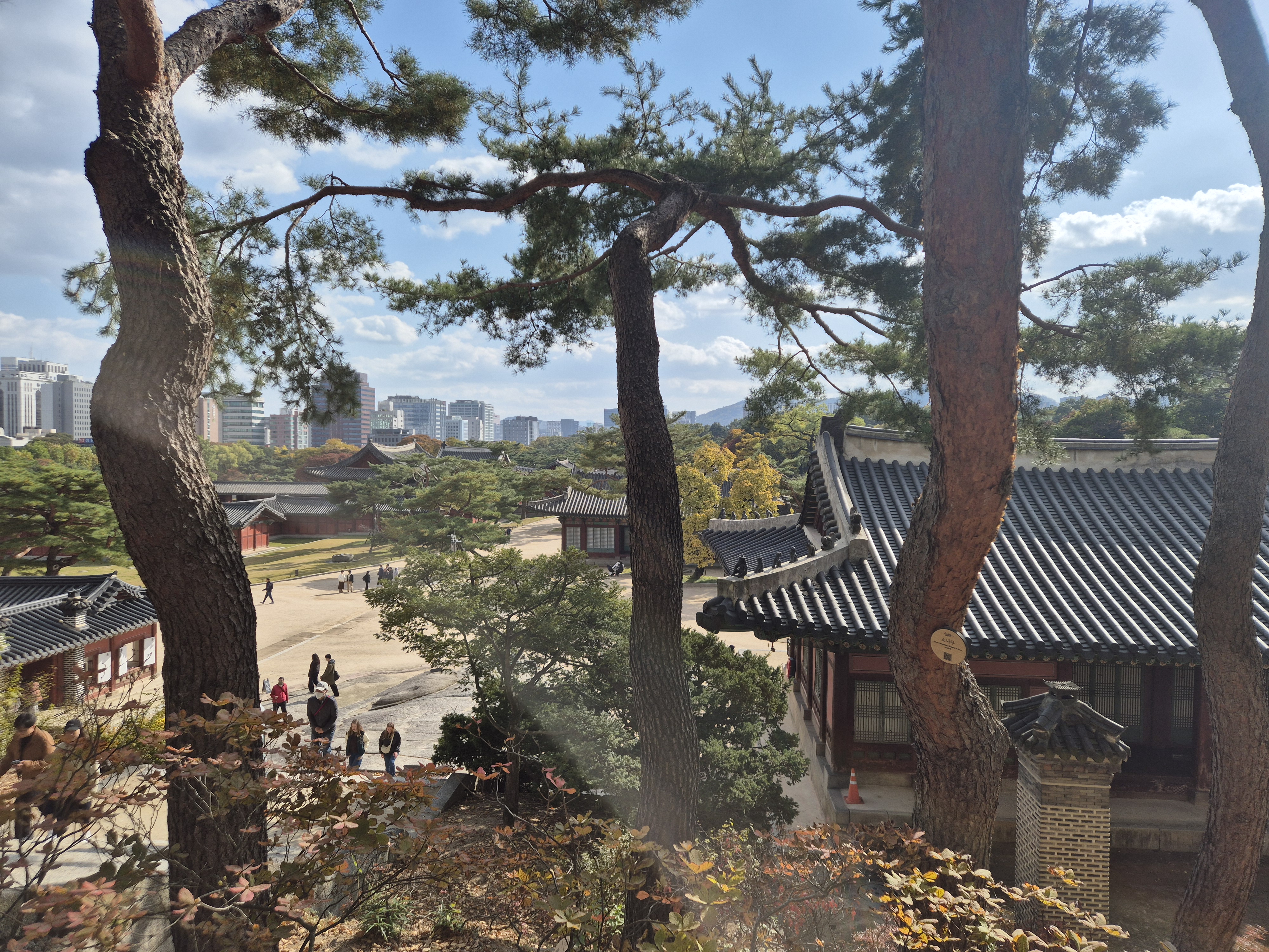 창경궁