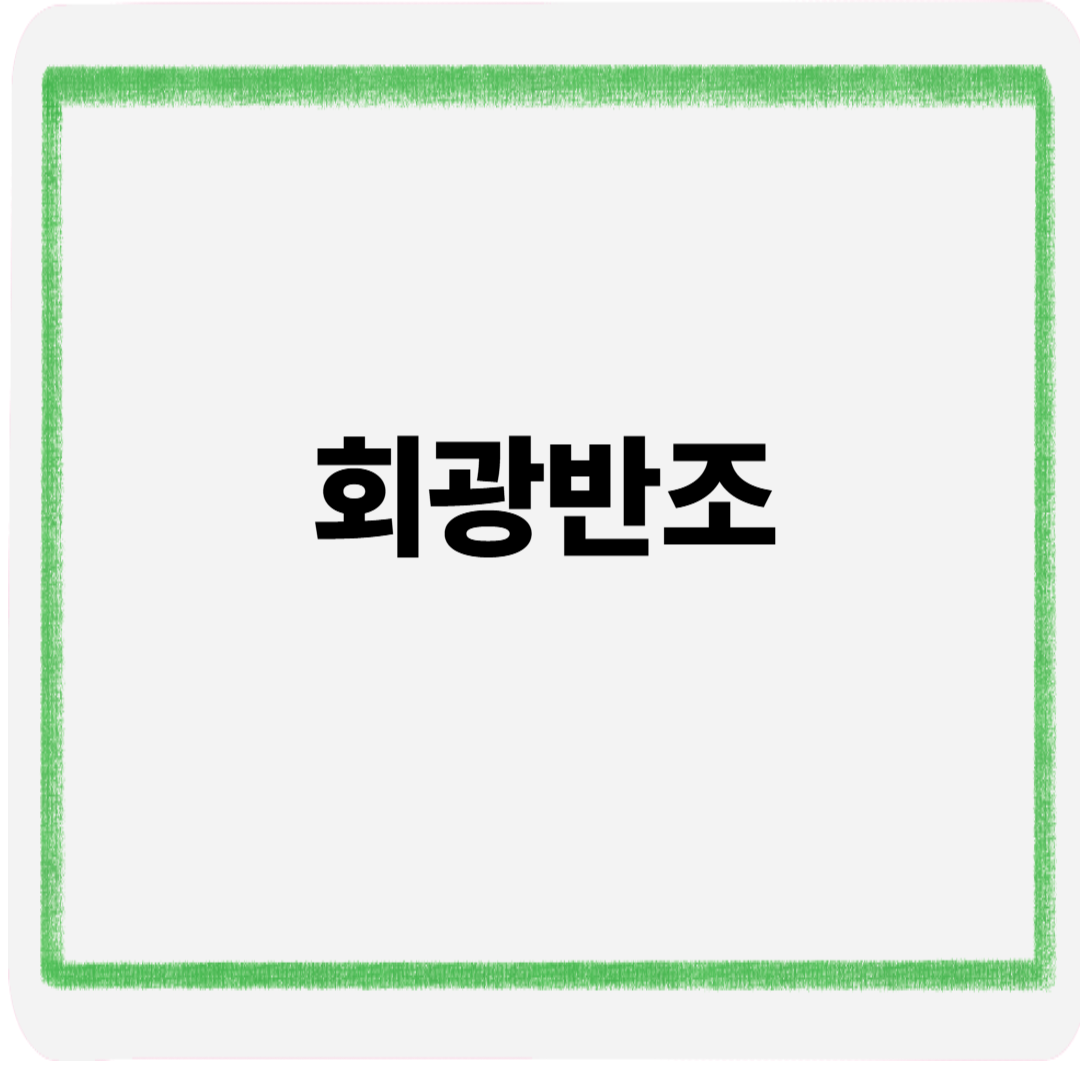회광반조