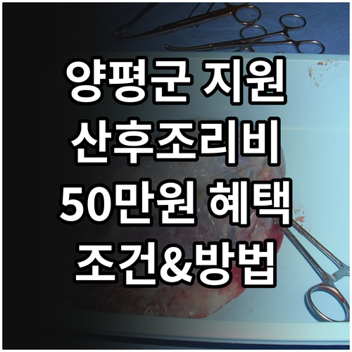 양평군 산후조리비 지원, 2025년 ..