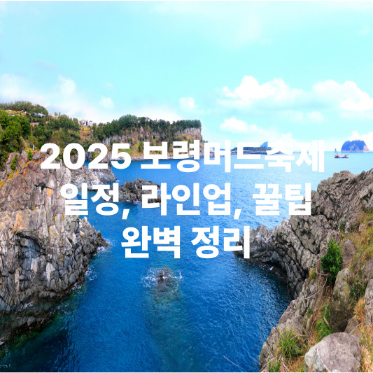 2025 보령머드축제 : 일정&amp;#44; 라인업&amp;#44; 꿀팁&amp;#44; 완벽 정리