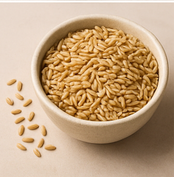 카무트 효소 효능