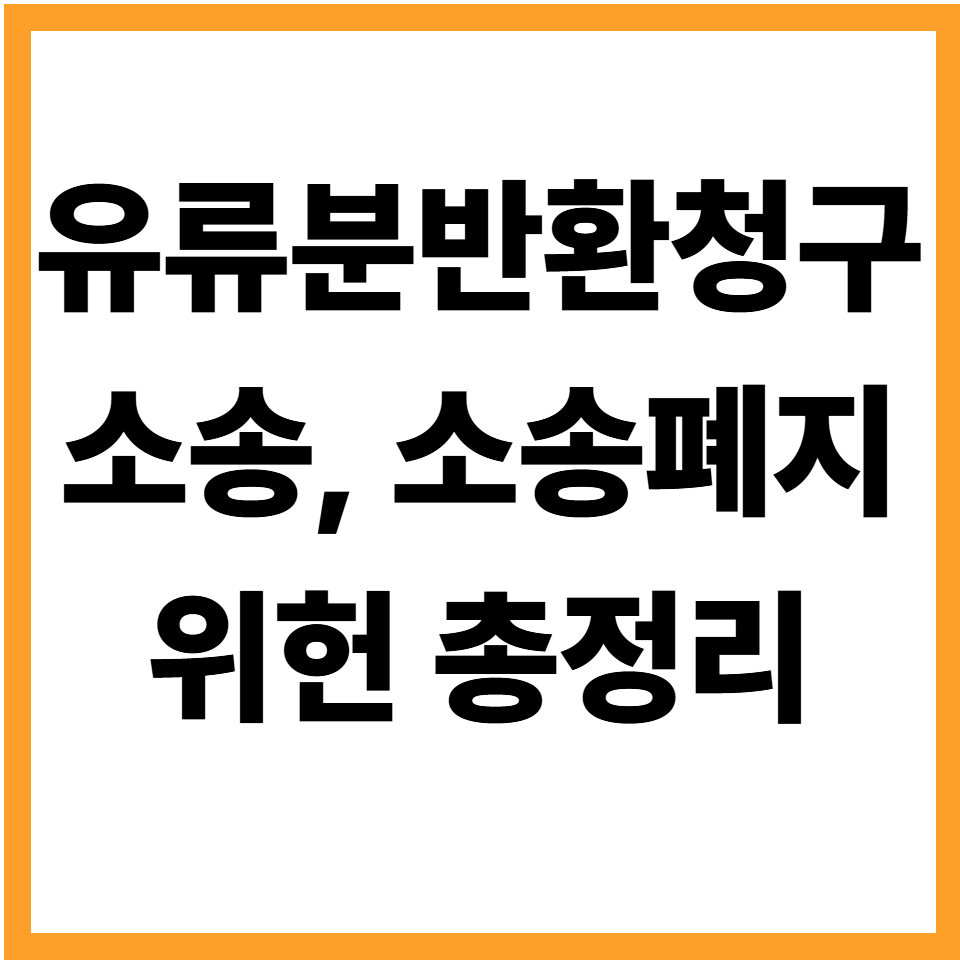 유류분반환청구 소송 소송폐지 위헌