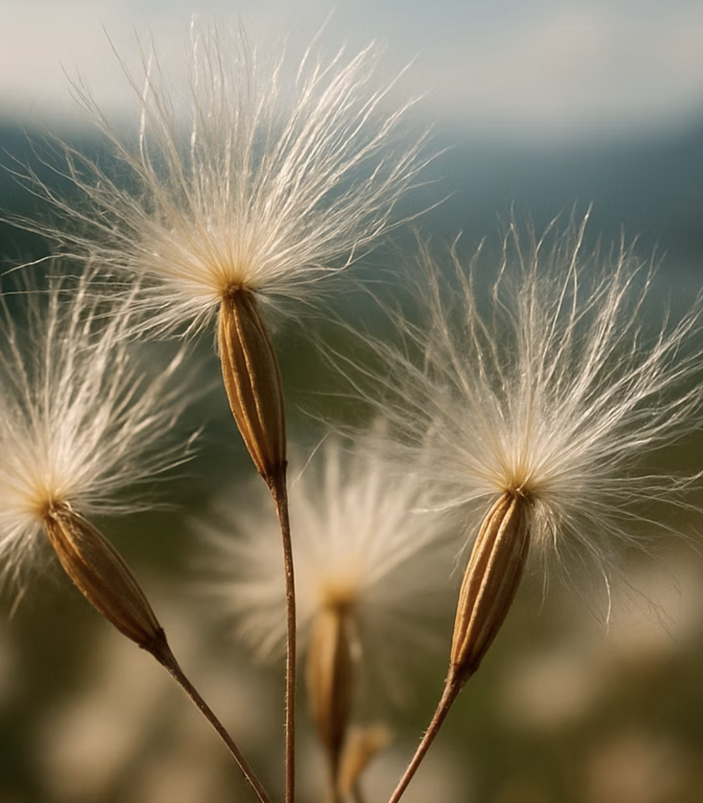 예쁜 얼굴에 숨겨진 무서운 번식력
