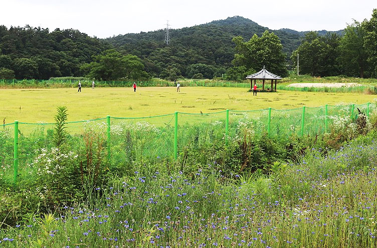 광주광역시 광산구 서봉파크골프장 소개