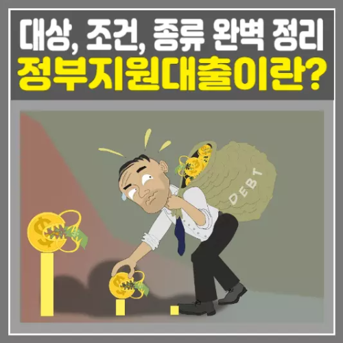 정부지원대출 대상, 조건, 종류