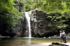 여름에 걷기 좋은 숲길 10