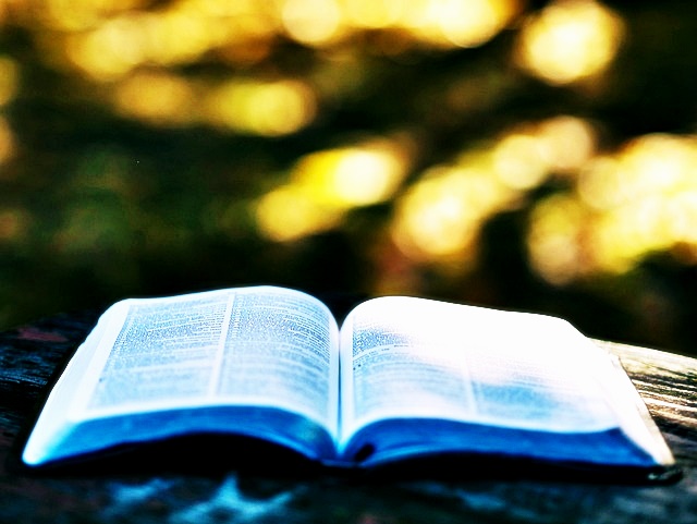 2024년 개정 교육과정 초등 중등 고등 알아보기