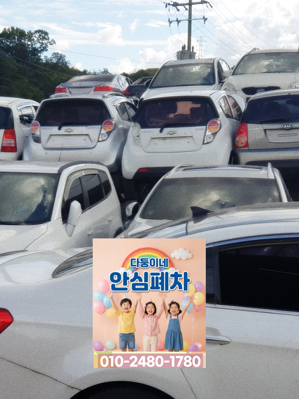 법인차폐차 순천시 차량 연식 기준 확인