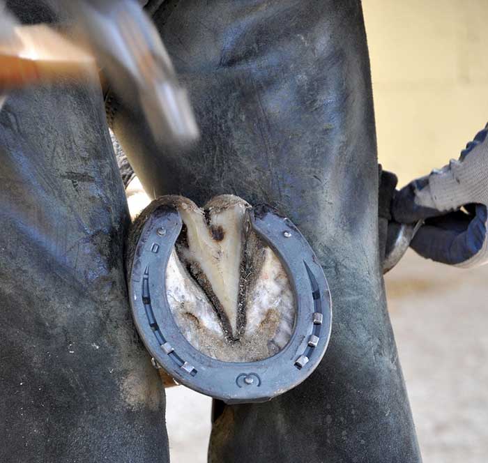 말발굽과 편자 이미지