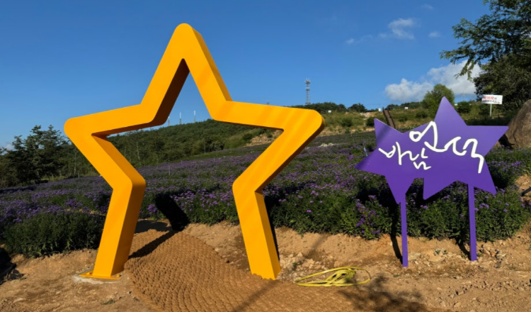 감악산 아스타국화 축제