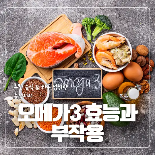 오메가3 효능과 부작용