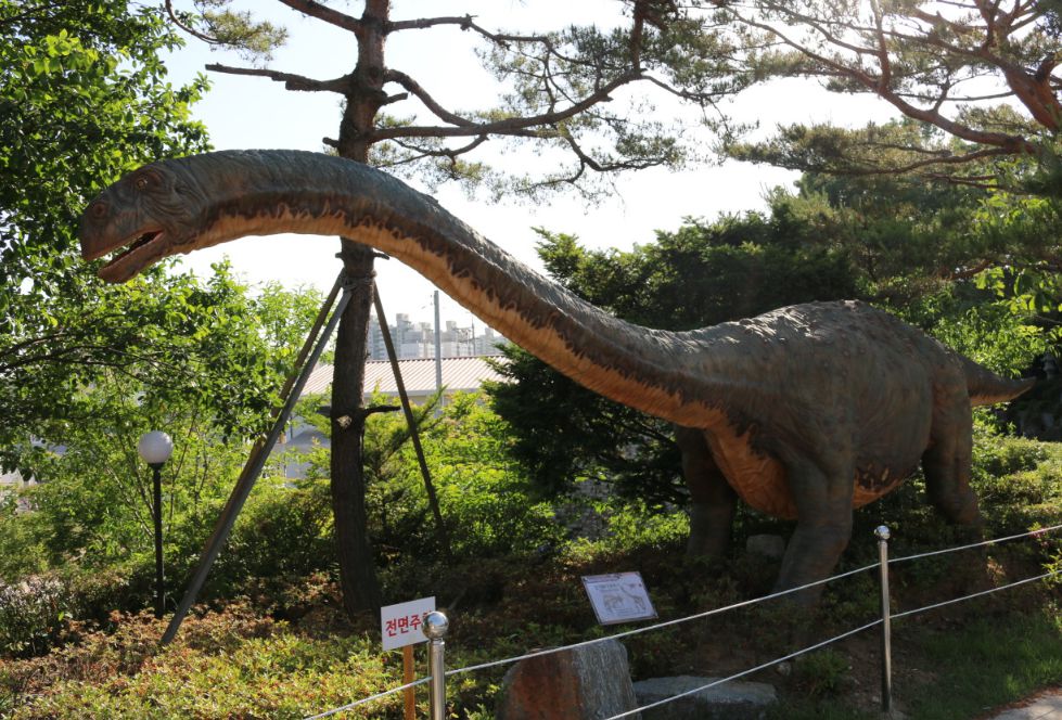 덕소자연사박물관