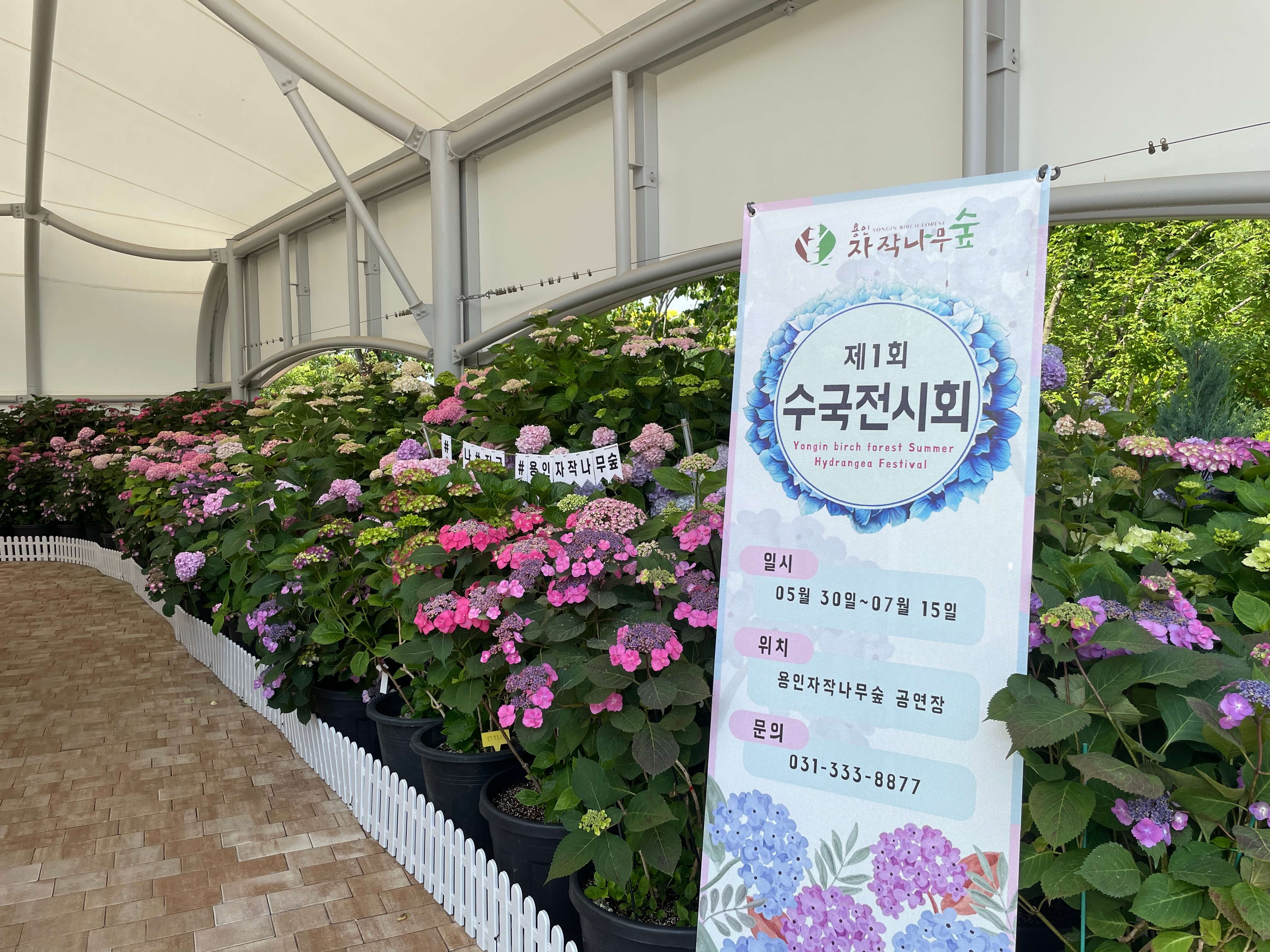 카페 베툴라