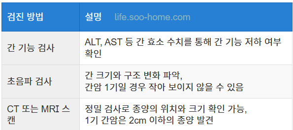 건강 검진에서 발견되는 간암 1기