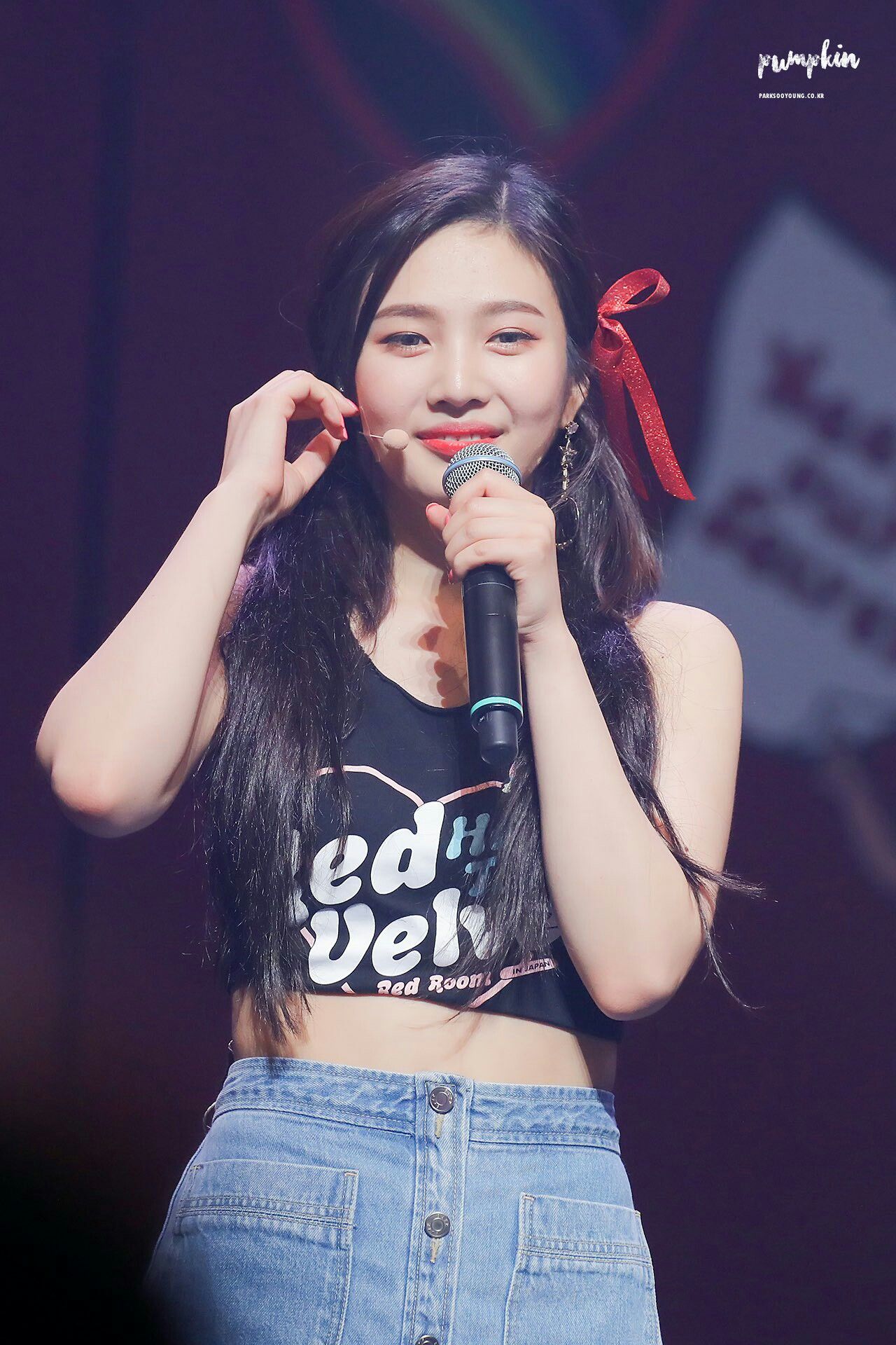 레드벨벳 조이 사진 몸매 국적 나이 키 등등 모음