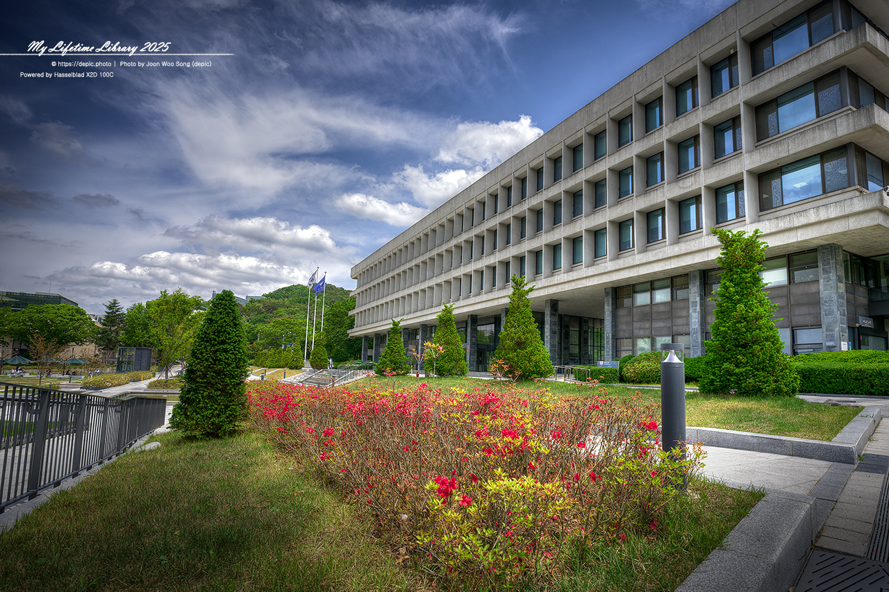 #봄 #캠퍼스 #대학교 #서울대 #서울 #오후 #서울대학교