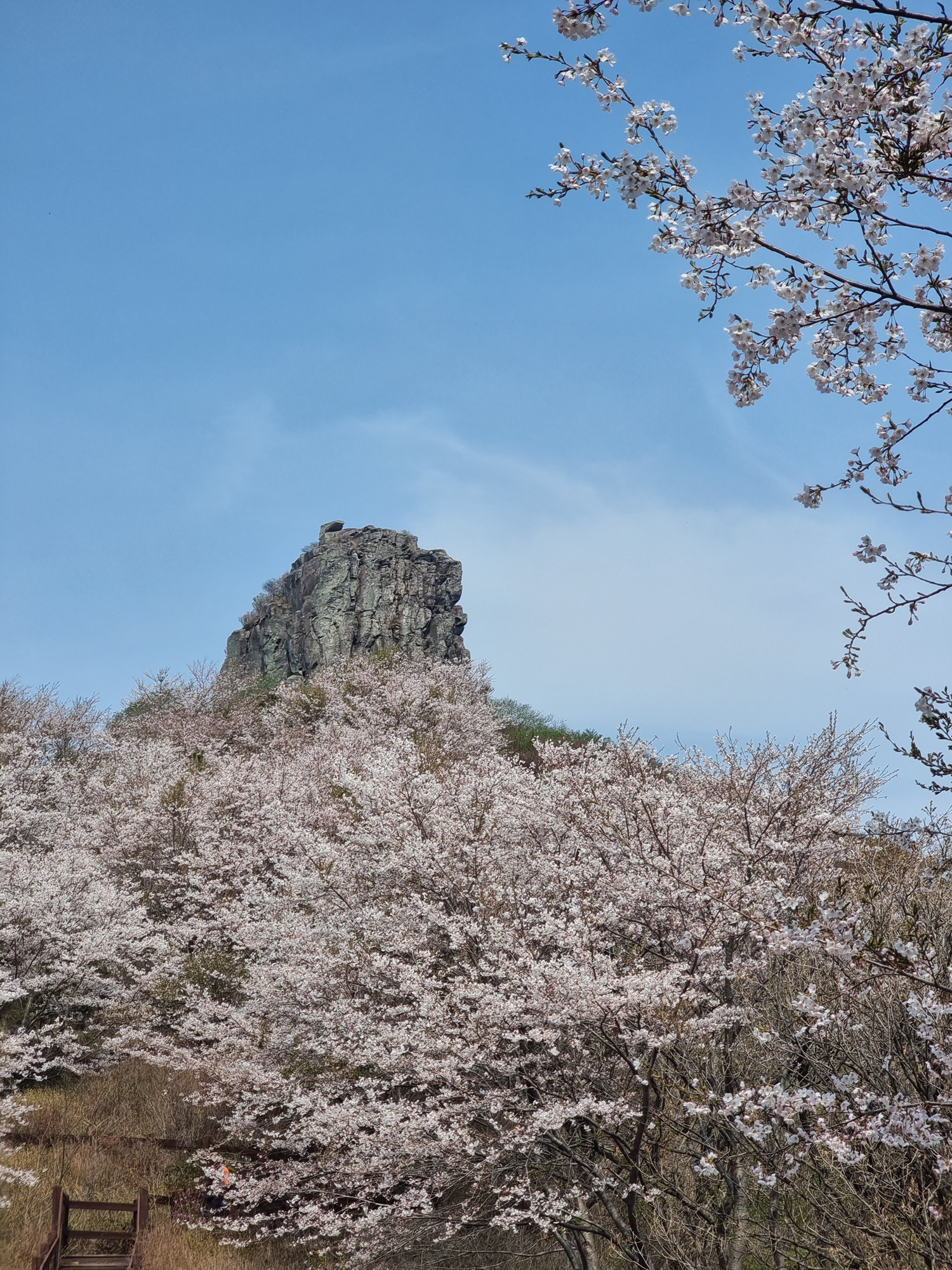 드디어 시루봉이 눈 앞이다.