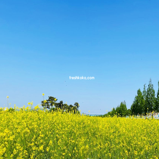 4월 축제 가볼만한곳