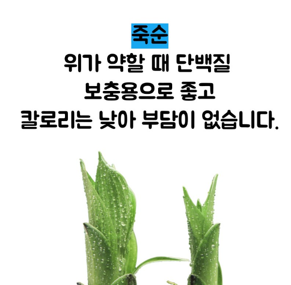 소화 잘되는 음식