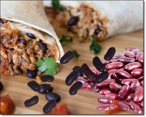 강낭콩과 강낭콩 음식