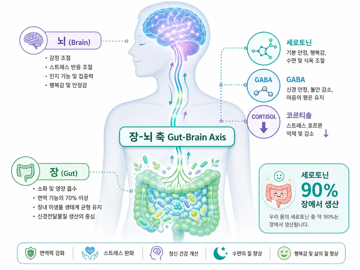 장뇌축-gut-brain-axis-세로토닌-수면유산균-스트레스완화-개념도