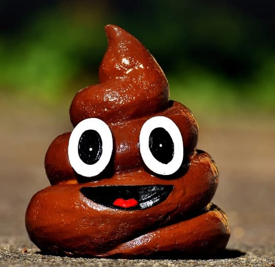 손에 똥 묻는 꿈 해석 해몽