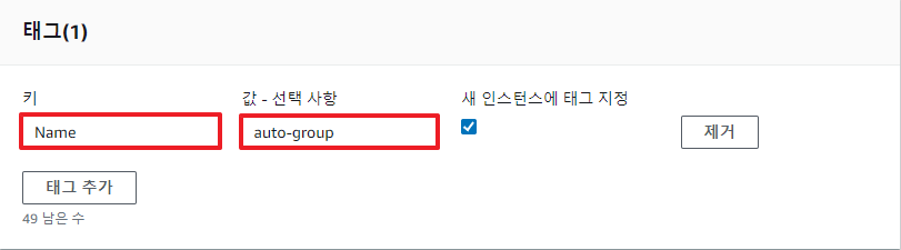 Auto Scaling 그룹