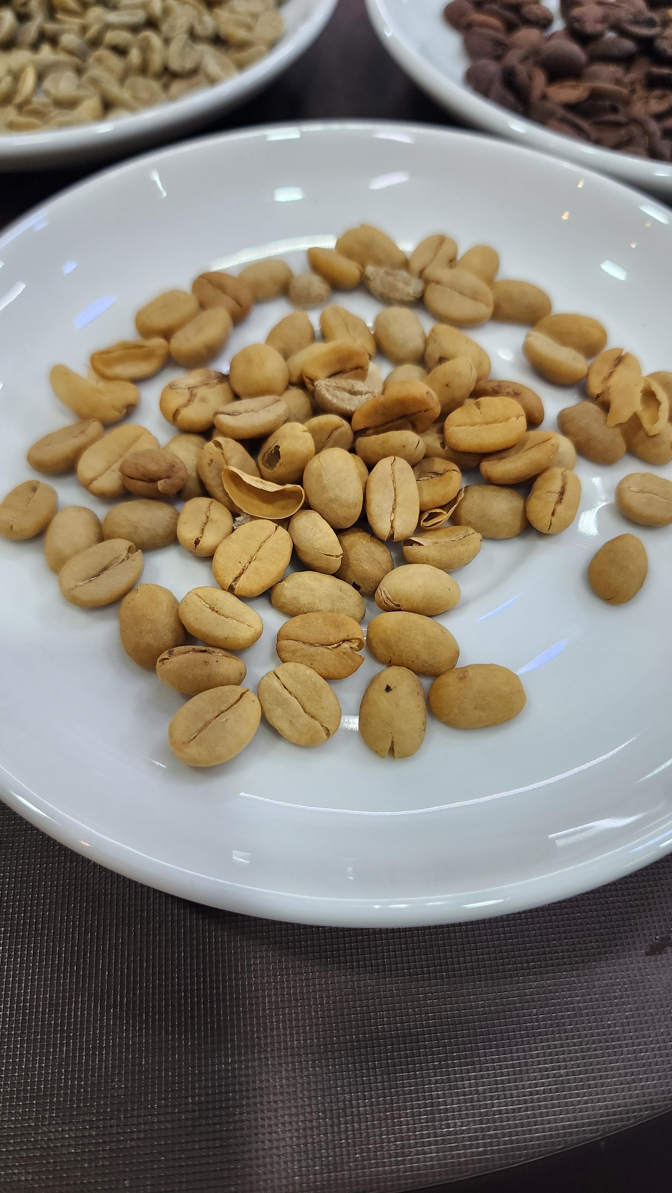 해다정 커피수업 커피씨앗