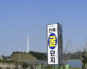 천북 굴 단지, 굴 축제_2