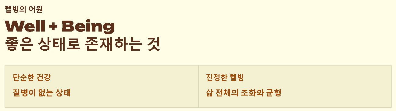 웰빙 뜻