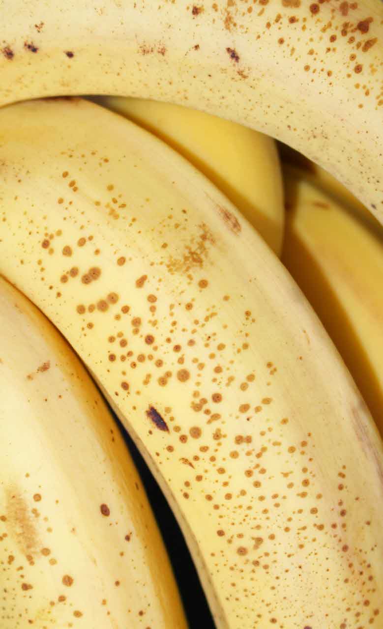 혈압을 낮추는데 더 효과적인 칼륨섭취