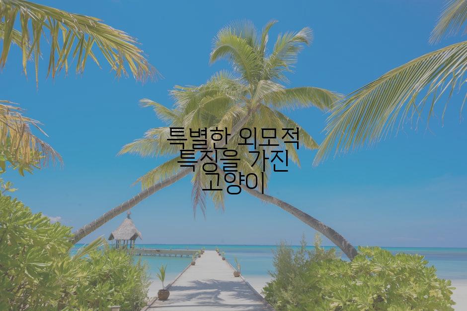 특별한 외모적 특징을 가진 고양이