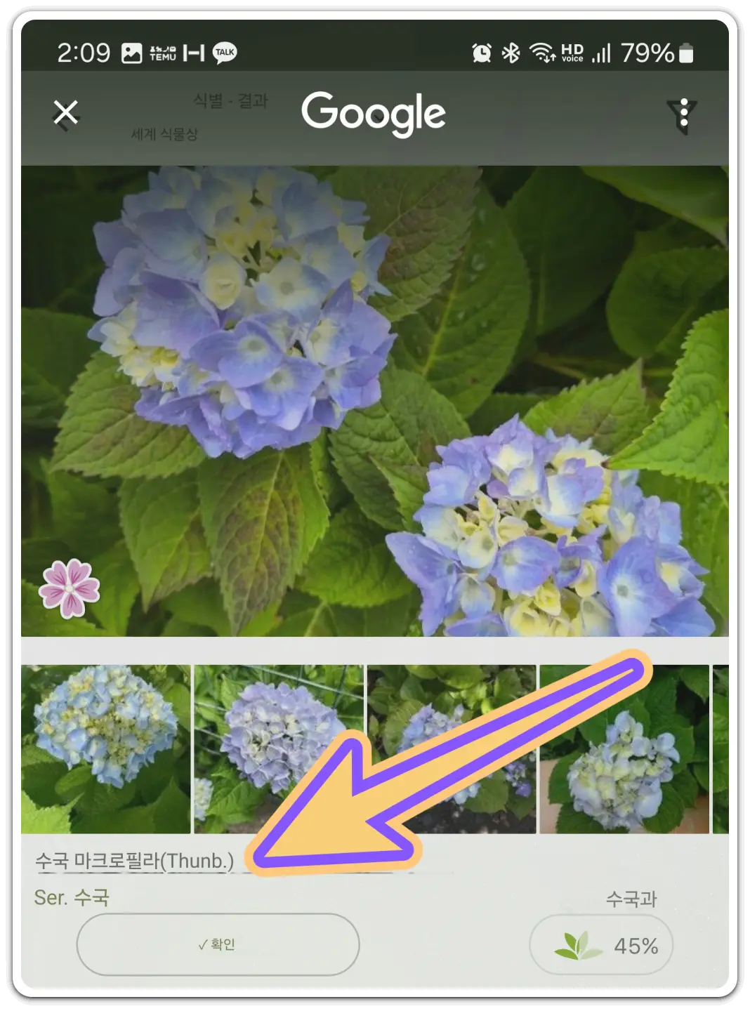 꽃-화초-이름-검색-찾기-무료-어플