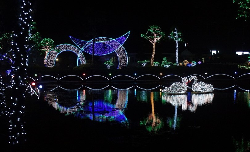 태안 빛축제는 365일 연중무휴로 진행하고 있습니다. 충청남도 최초로 화려하게 조명으로 야간 볼거리를 제공하고 있습니다.