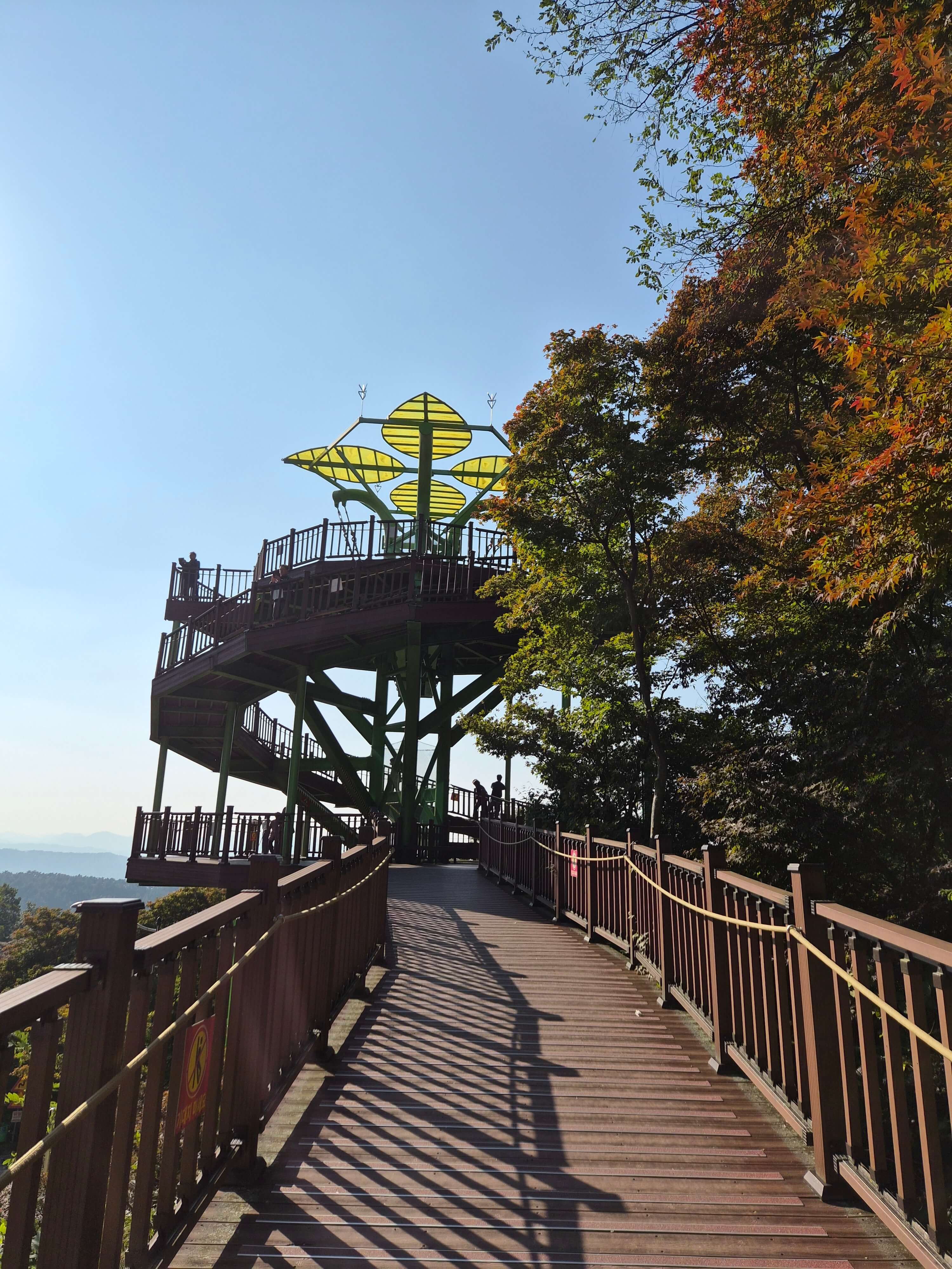 충북 보은 말티재 전망대
