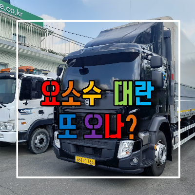 요소수 대란