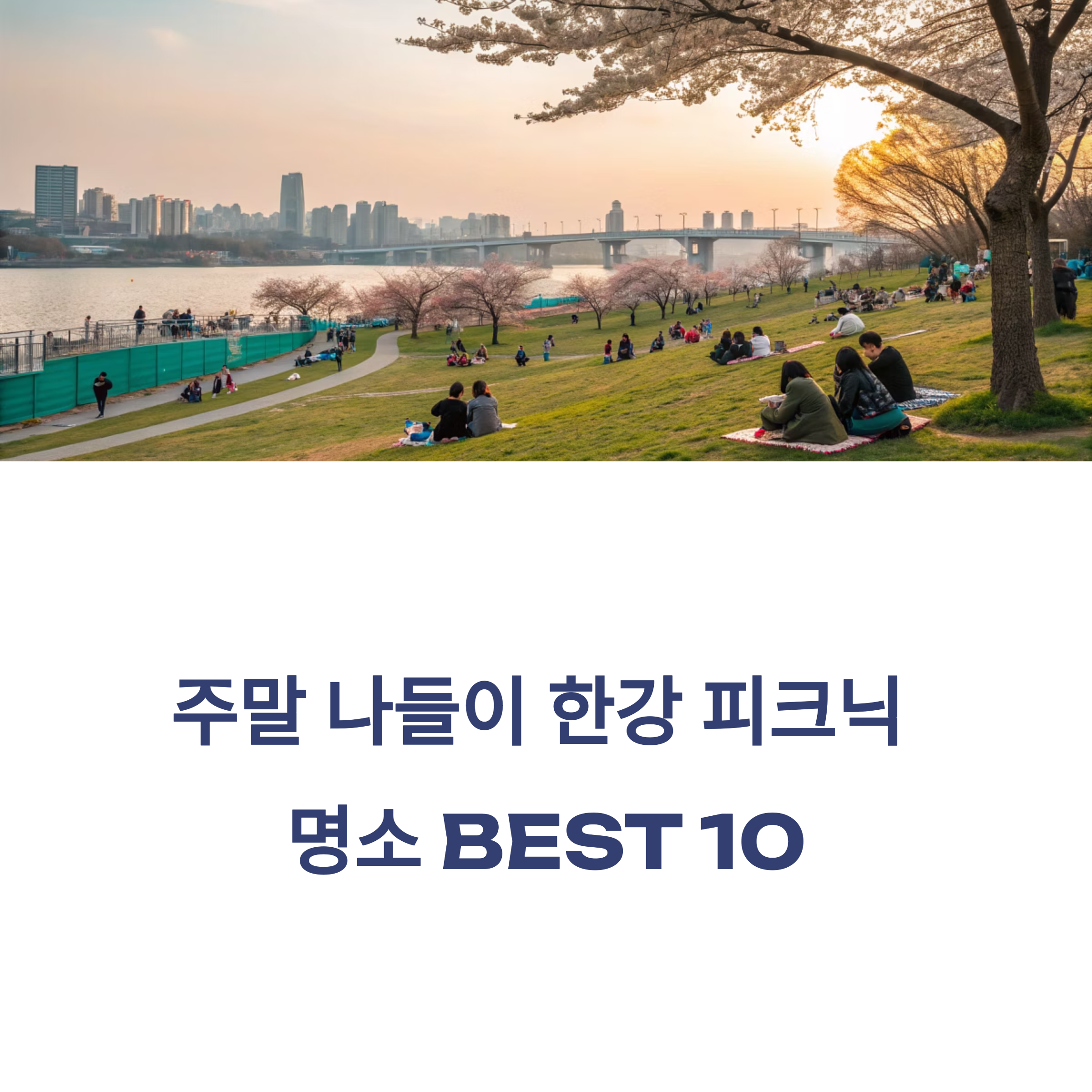 한강 피크닉 명소 추천 BEST 10