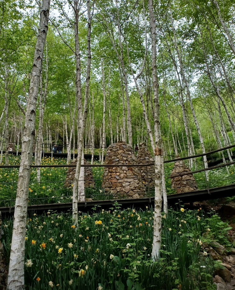 화담숲 봄 풍경