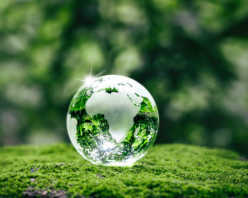 탄소중립 포인트 가입 방법과 현실적 한계