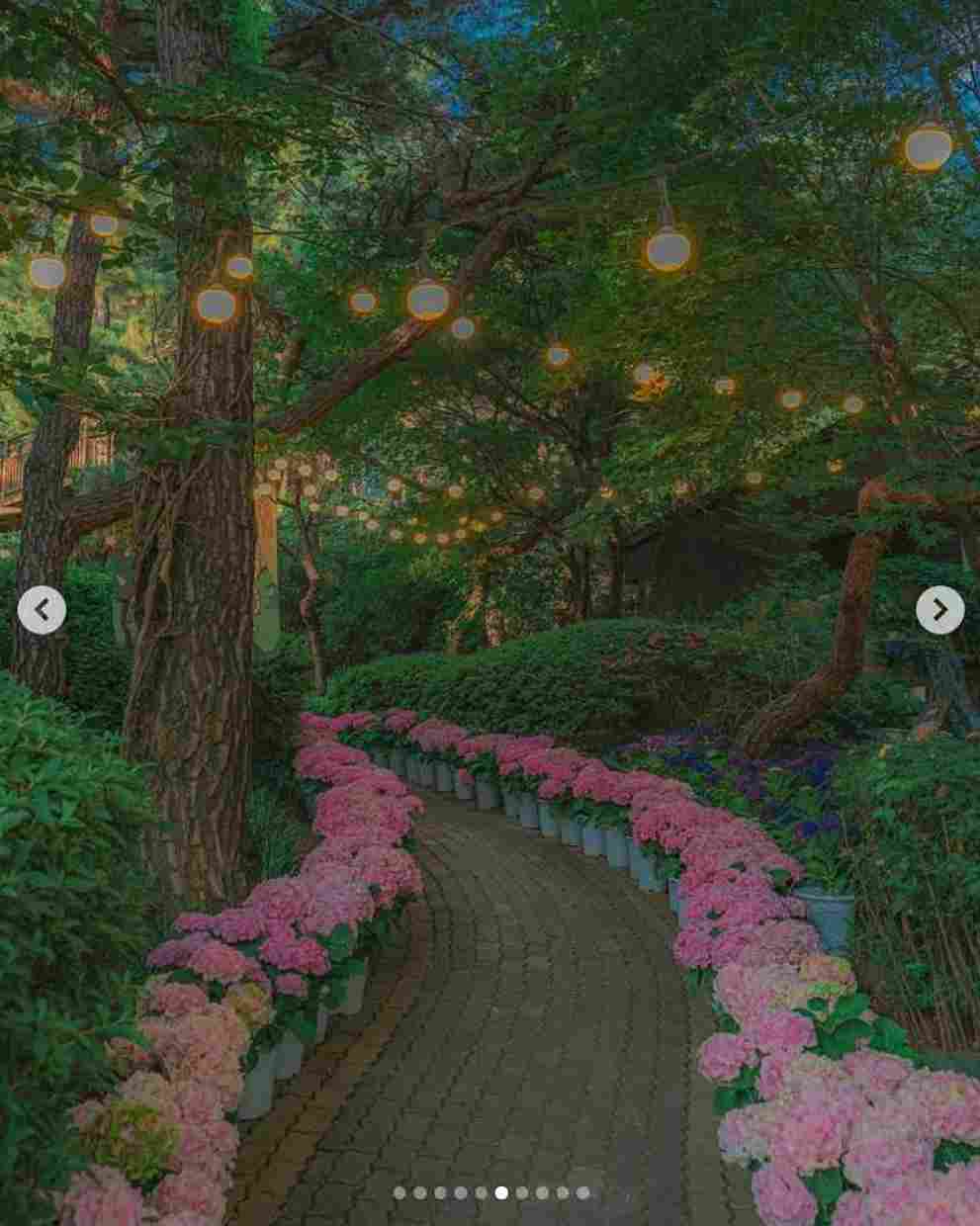 이월드 수국 포레스트 가든