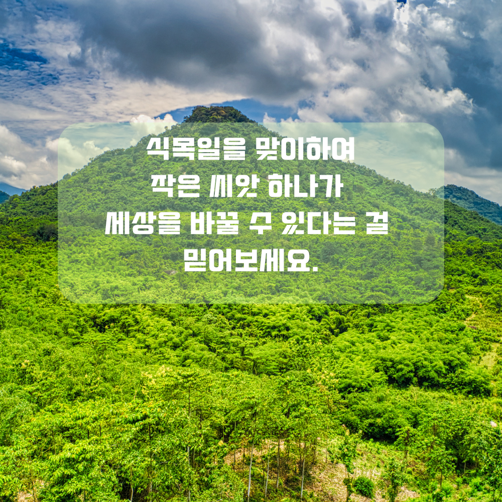 4월 인사말 식목일 인사글귀 좋은 글 문구 나무 숲 사진 이미지 모음집
