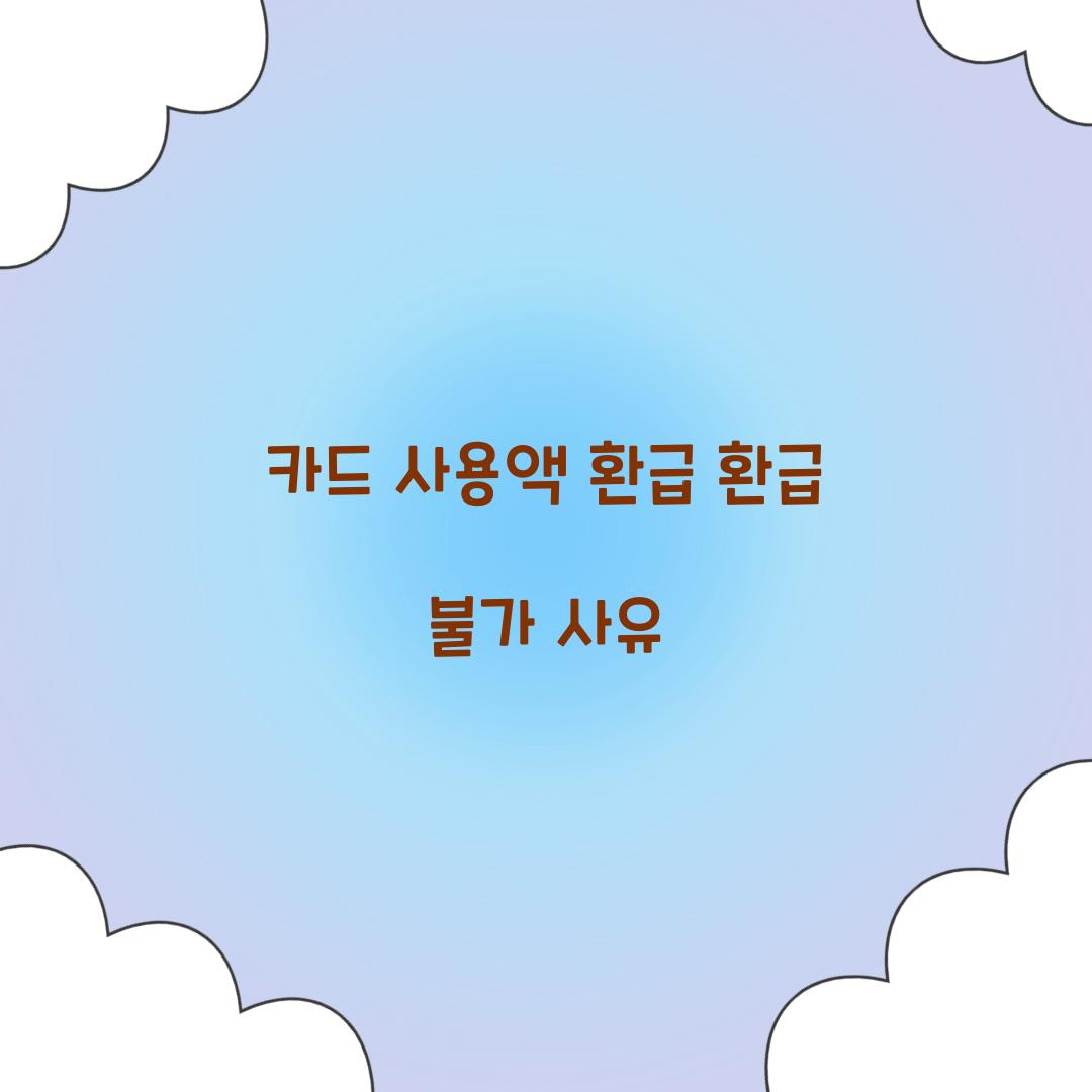 카드 사용액 환급 환급 불가 사유